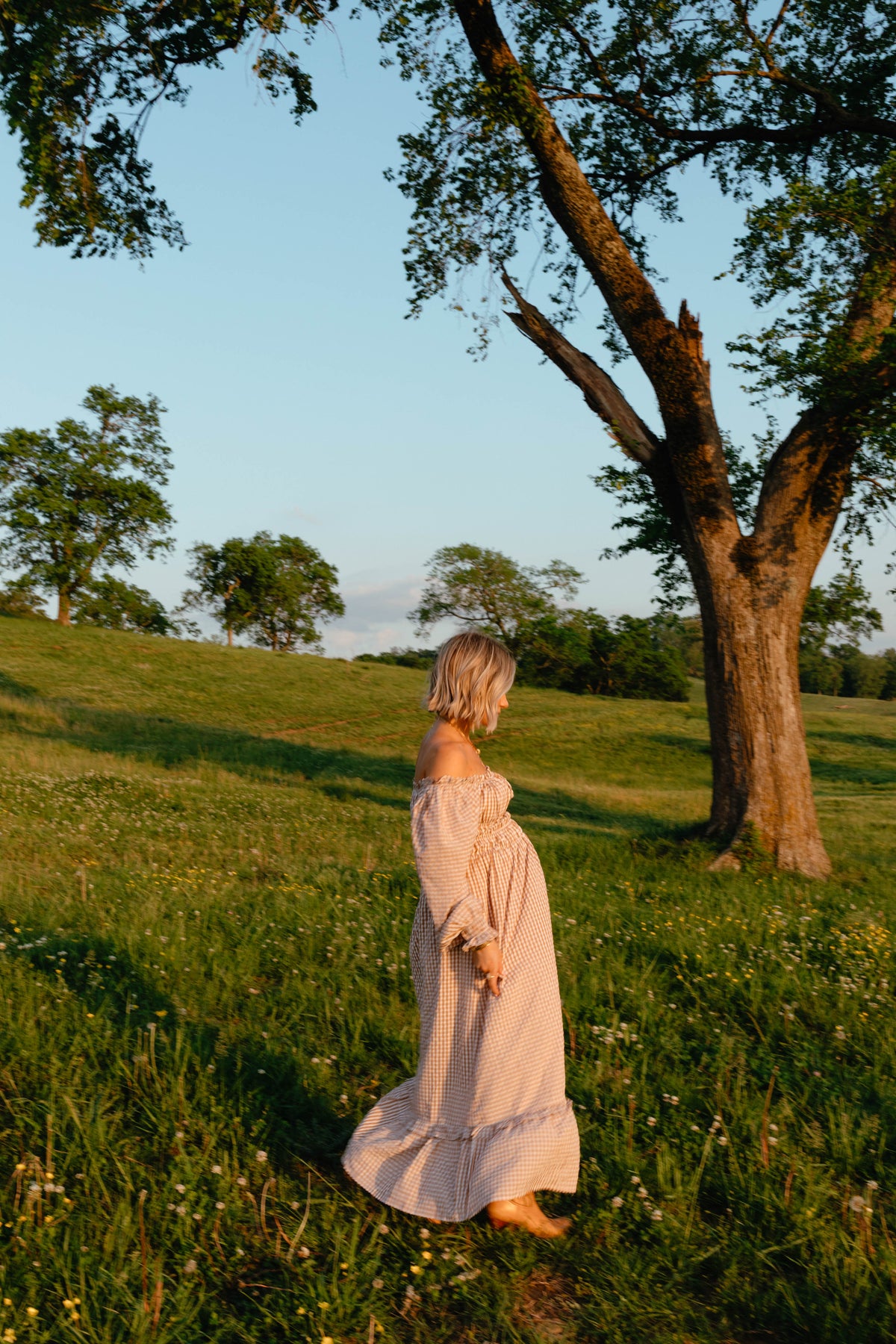 Torrie Maxi Dress - Brown Check
