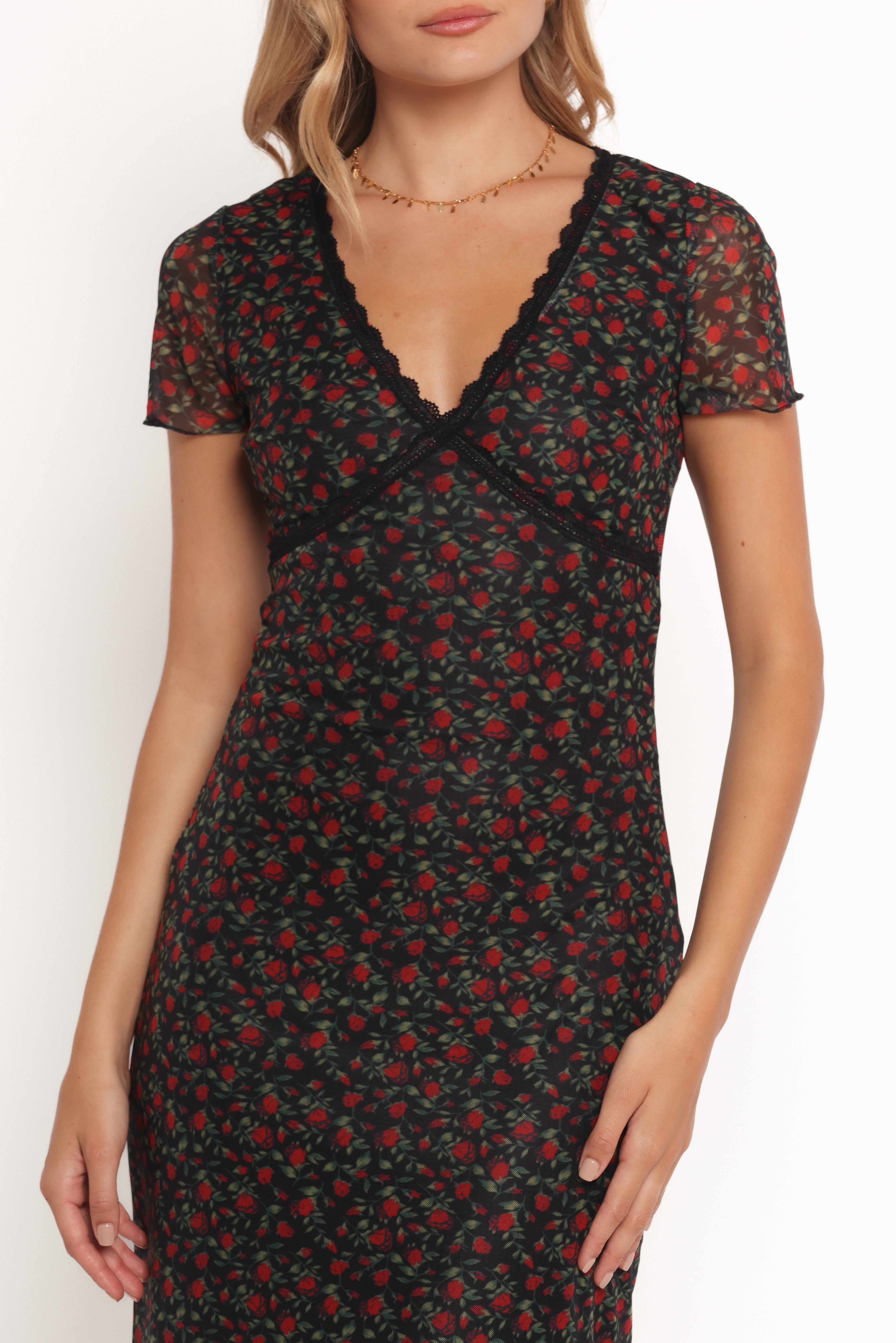 Neve Maxi Dress - Rose Print