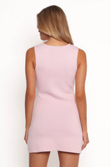 Salo Mini Dress - Pink